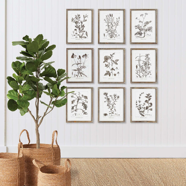 Rustic Botanical Sepia Wall Art Prints (Set of 9)
