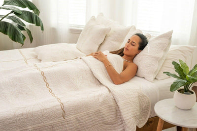 DaDa Bedding Elegant Cottage Ivory White Floral Matelassé Cotton Pillow Sham - Queen Size 20