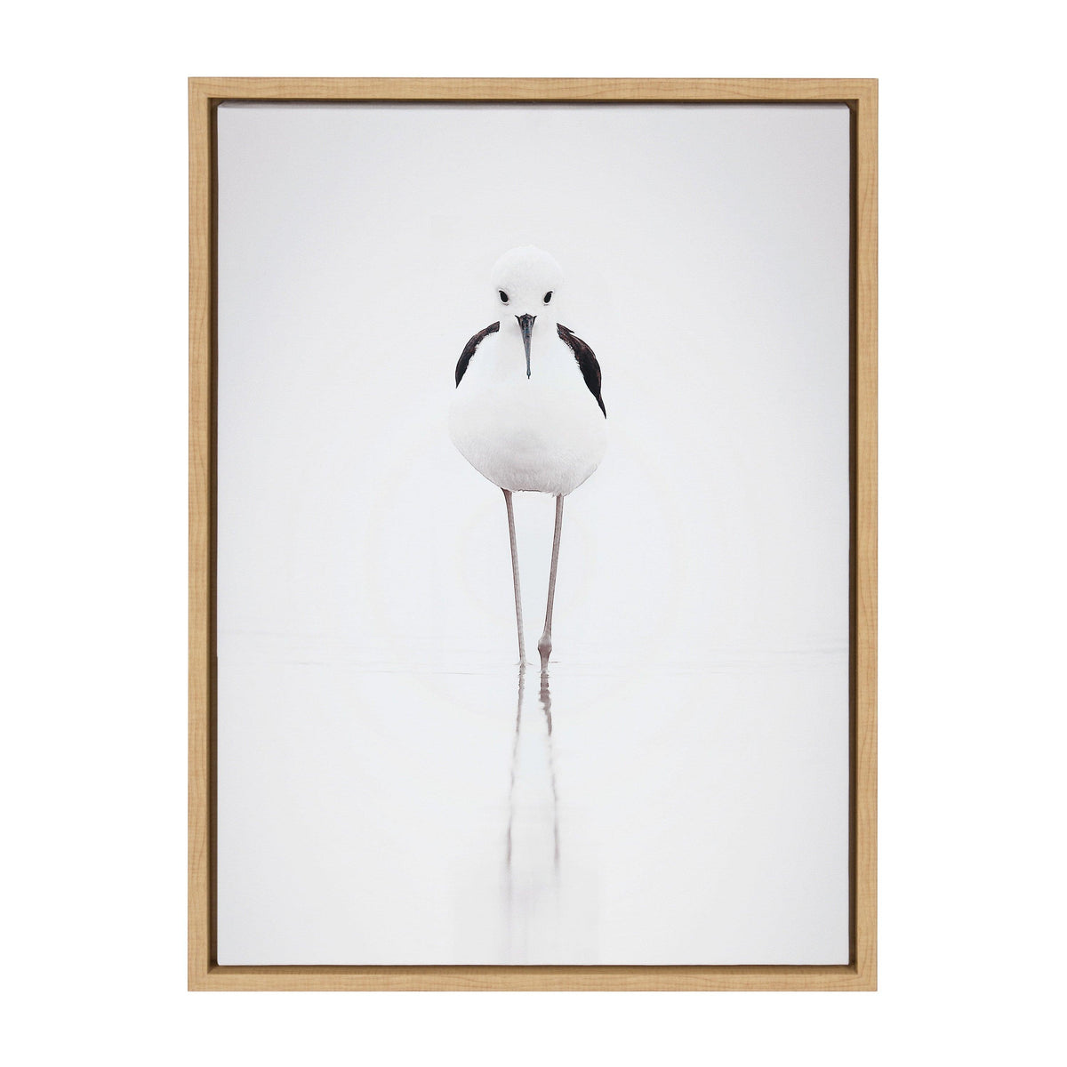 Sylvie Seagull Framed Canvas by Tai Prints