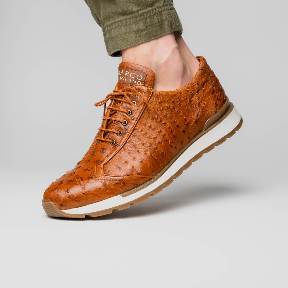 Scanno Antique Cognac