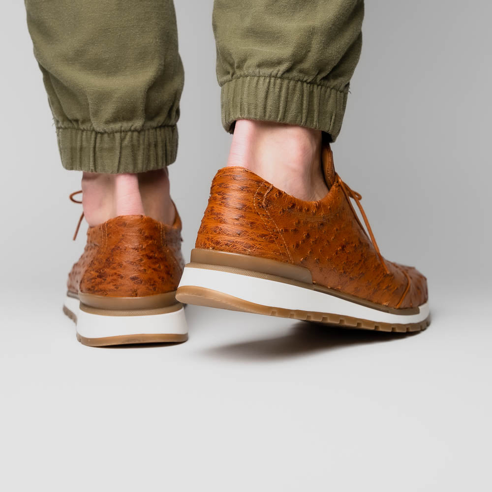 Scanno Antique Cognac