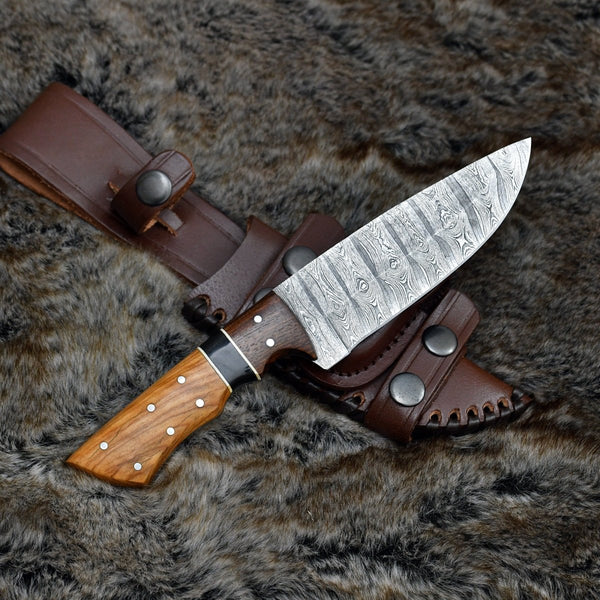 Sculptor Camp Knife with Exotic Olve Wood Handle