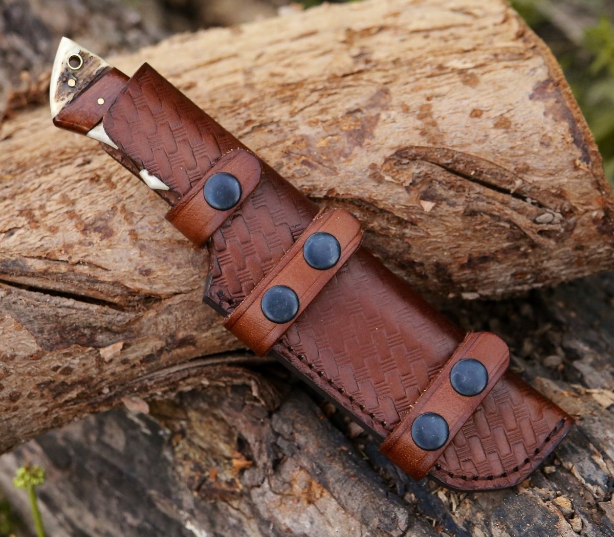 Sentinel Gut Hook Hunting Knife With Antler & Exotic Rose Wood Mosaic Handle