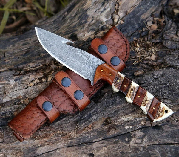 Sentinel Gut Hook Hunting Knife With Antler & Exotic Rose Wood Mosaic Handle - Gifts for You 'n Me