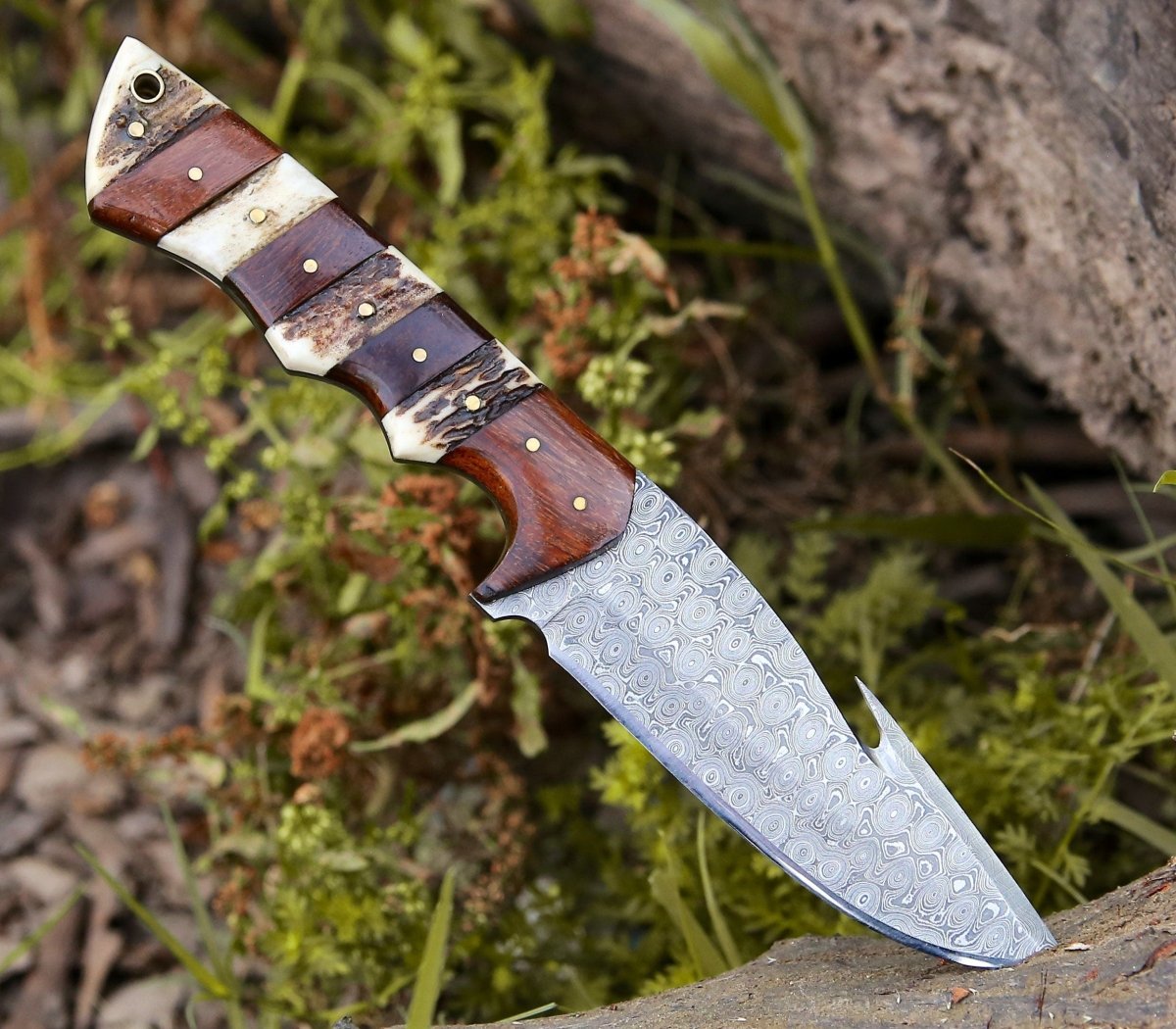 Sentinel Gut Hook Hunting Knife With Antler & Exotic Rose Wood Mosaic Handle