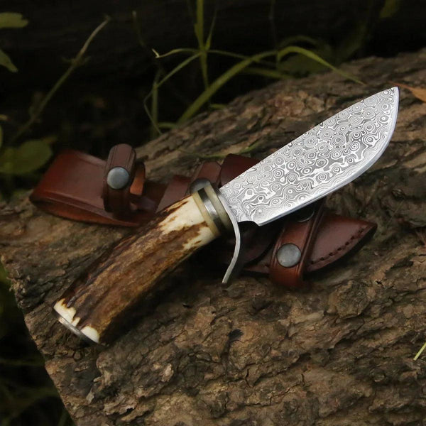 Serpent Damascus Hunting Knife with Antler Handle - Gifts for You 'n Me