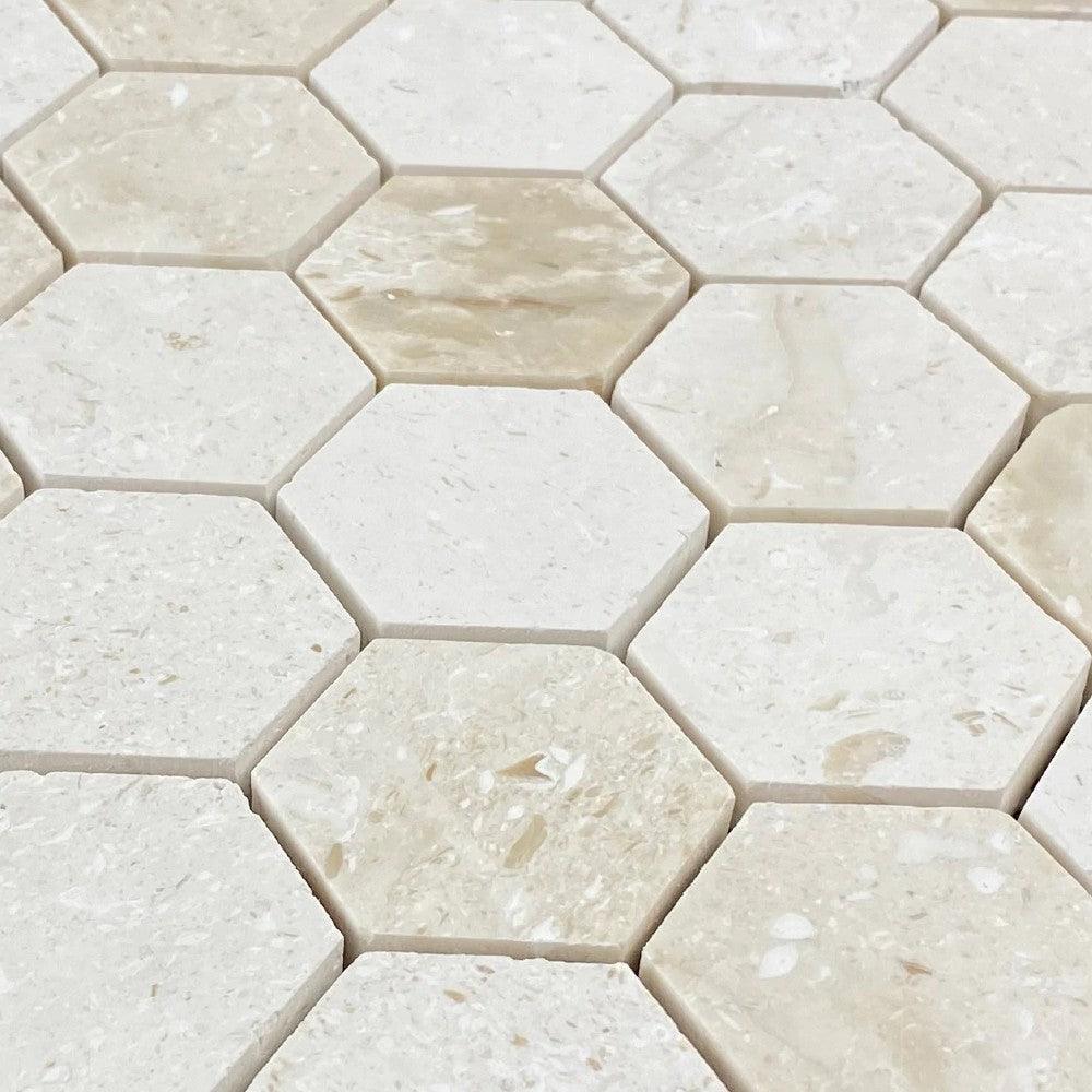 Shell Stone Limestone 2