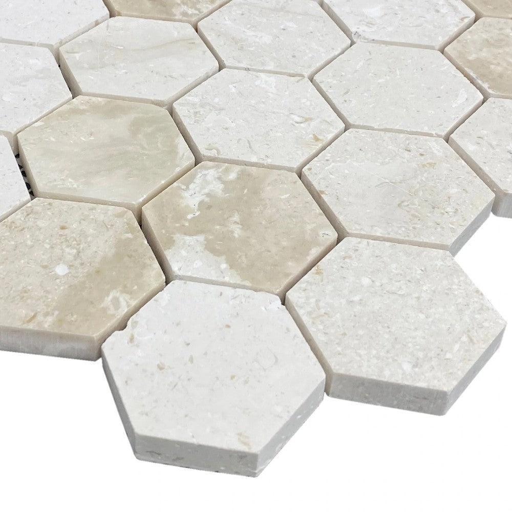 Shell Stone Limestone 2