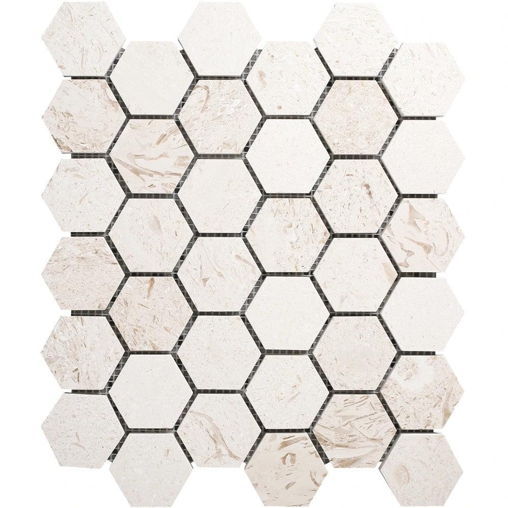 Shell Stone Limestone 2