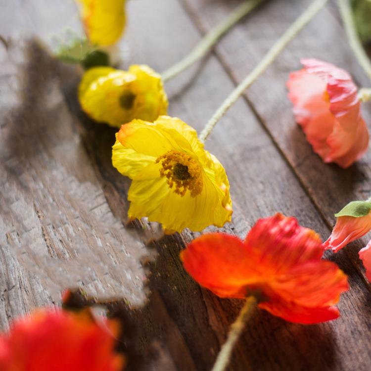 Silk Common Poppy Flower Stem 22