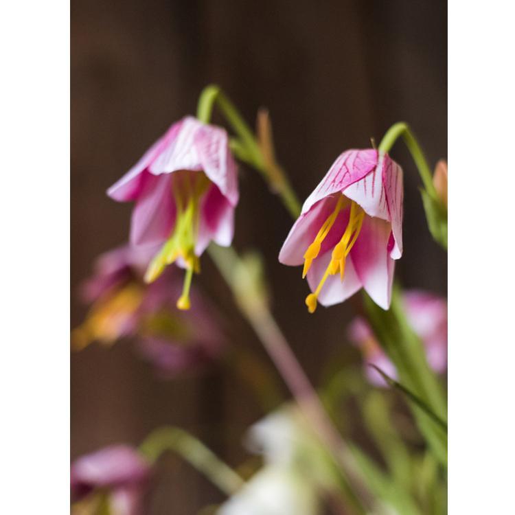 Faux Silk Fritillaries Lily Flower Stem in Pink or Purple 26