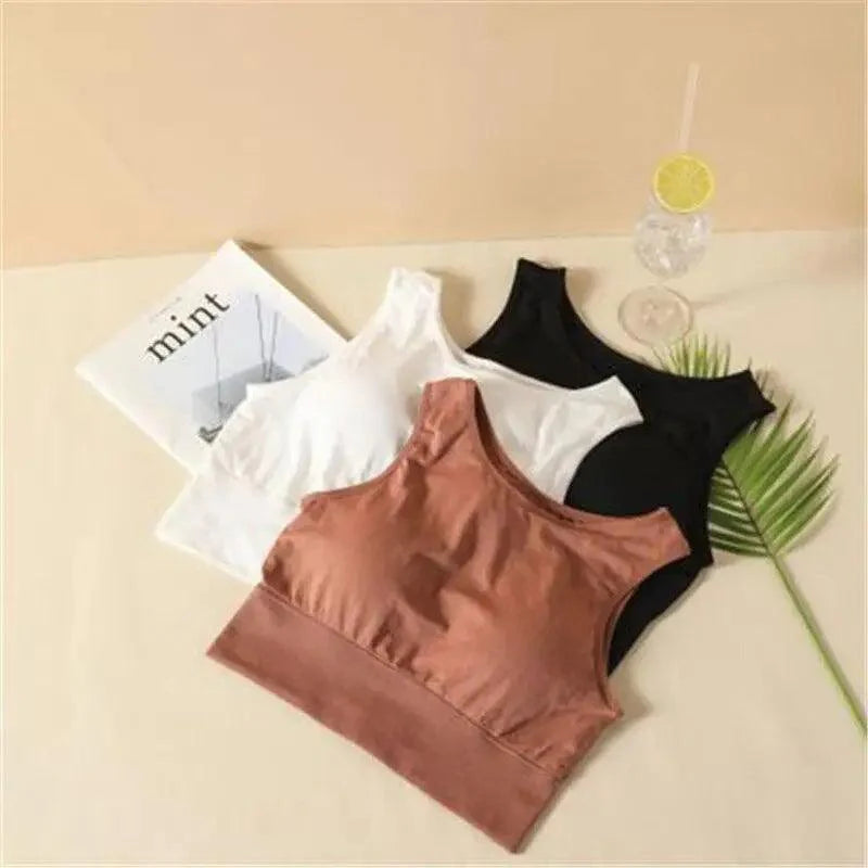 Sizzling Sports Bra For Women Solid Yoga Top Fitness Pad Bra Girl Active Wear Workout Running Sportswear Breathable Soft Bra