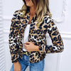 Sizzling Stylish Women's Long Sleeve Jacket Sweater Top Ladies Casual Leopard Print, Cardigan Zipper, Short Outwear, Coat Jacket