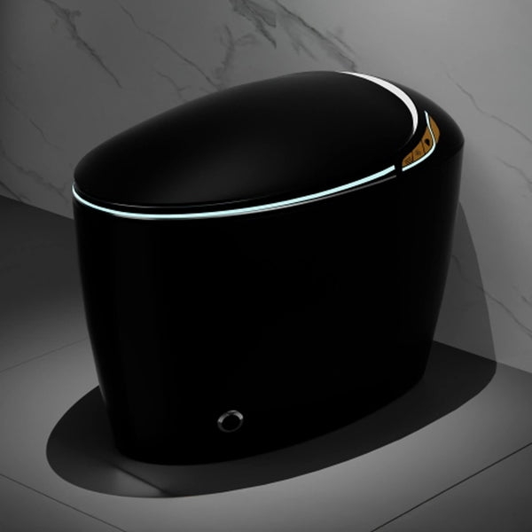 Smart One-Piece Toilet With Bidet, Foot Sensor, LED Display And Dryer (SAK80112)