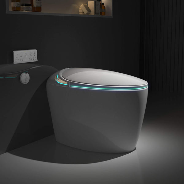 Smart One-Piece Toilet With Bidet, Foot Sensor, LED Display And Dryer (SAK80112)