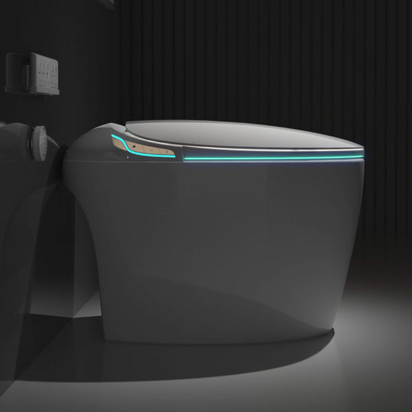 Smart One-Piece Toilet With Bidet, Foot Sensor, LED Display And Dryer (SAK80112)