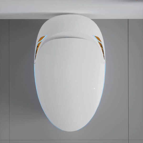 Smart One-Piece Toilet With Bidet, Foot Sensor, LED Display And Dryer (SAK80112)