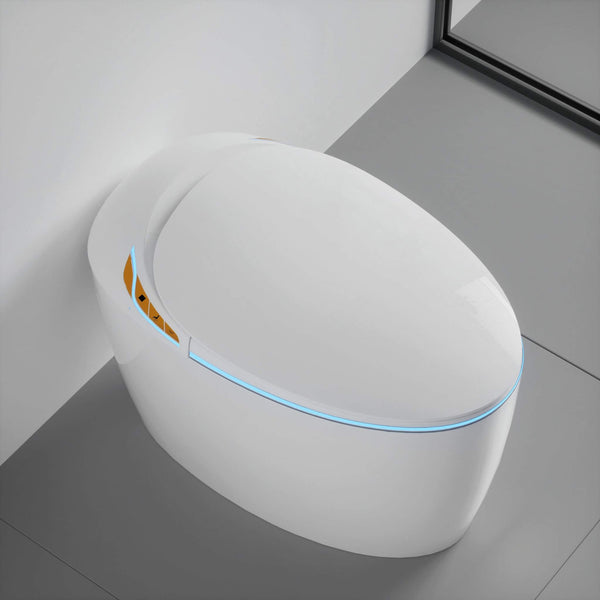 Smart One-Piece Toilet With Bidet, Foot Sensor, LED Display And Dryer (SAK80112)