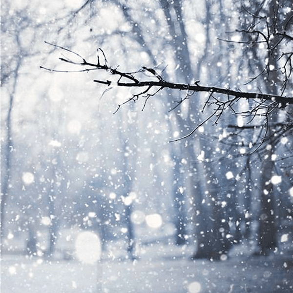 Snow