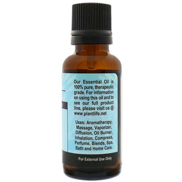 Spearmint Essential Oil - Gifts for You 'n Me