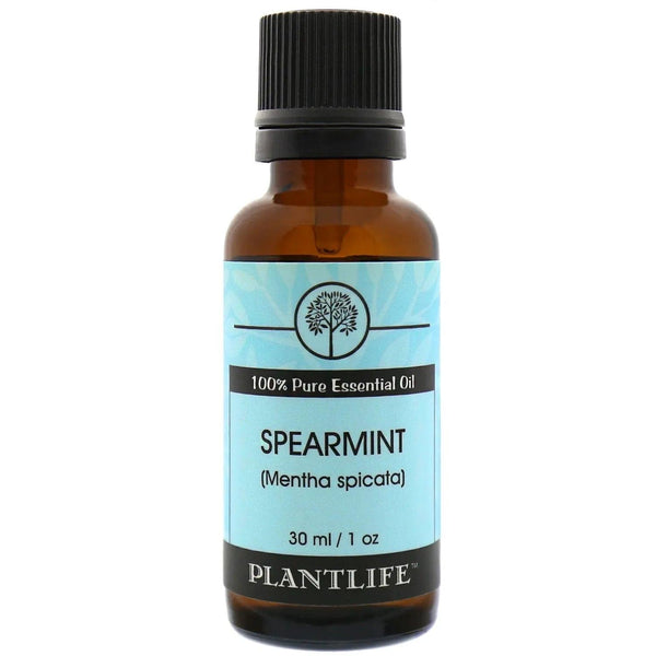 Spearmint Essential Oil - Gifts for You 'n Me