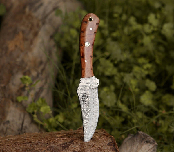Spectral Field Dressing Knife with Olive Wood Handle