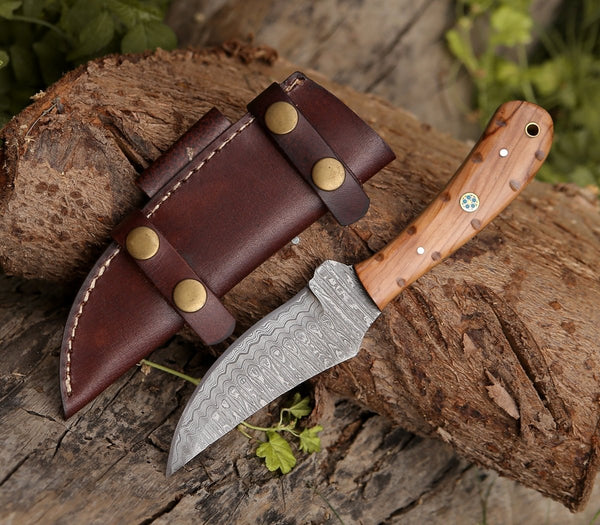 Spectral Field Dressing Knife with Olive Wood Handle