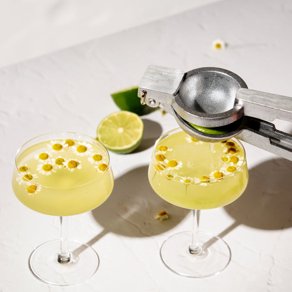 Raye Angled Crystal Coupe Glasses Set of 4