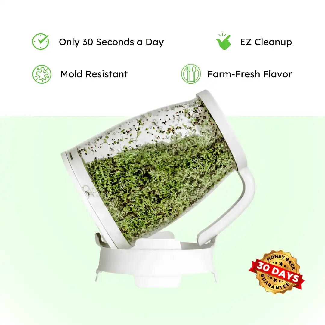 Sprout Spout Violet Vitality Blend Starter Kit: Sprout Spout + 4oz or 1lb seeds + Free Sprout Scoop