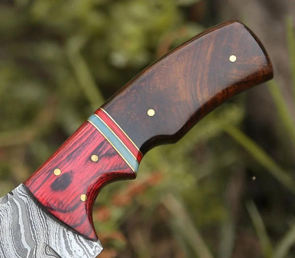 Sting Damascus Hunting Knife with Rosewood Handle - Gifts for You 'n Me