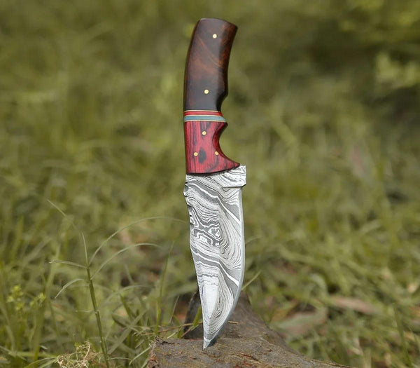 Sting Damascus Hunting Knife with Rosewood Handle - Gifts for You 'n Me