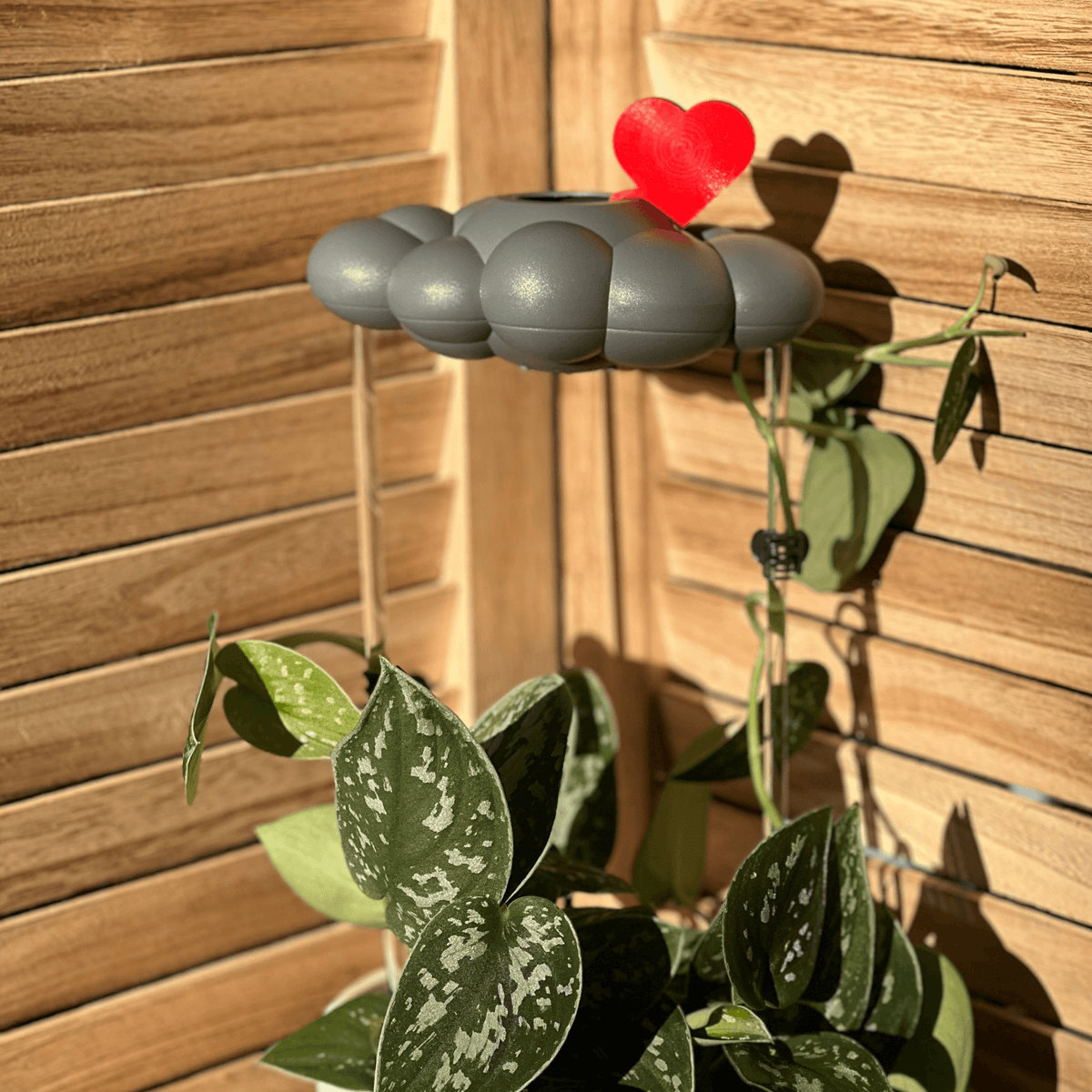 Stormy Dripping Rain Cloud with Red Heart Charm