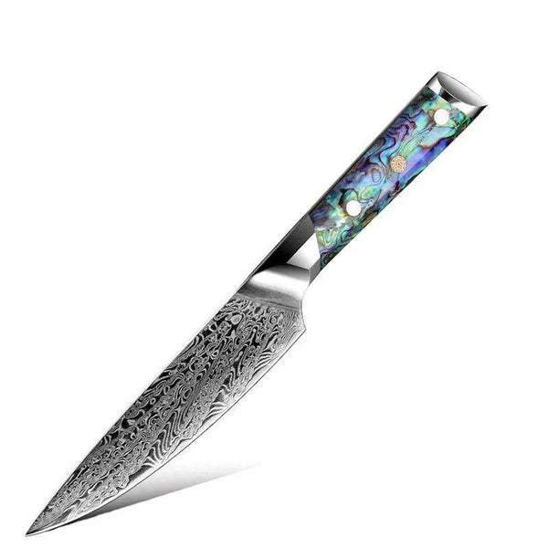 Ronin Chef Knife VG10 Damascus Petty Knife with Abalone Shell Handle - Gifts for You 'n Me