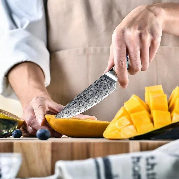 Ronin Chef Knife VG10 Damascus Petty Knife with Abalone Shell Handle - Gifts for You 'n Me
