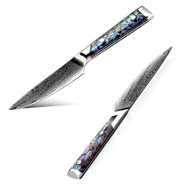 Ronin Chef Knife VG10 Damascus Petty Knife with Abalone Shell Handle - Gifts for You 'n Me