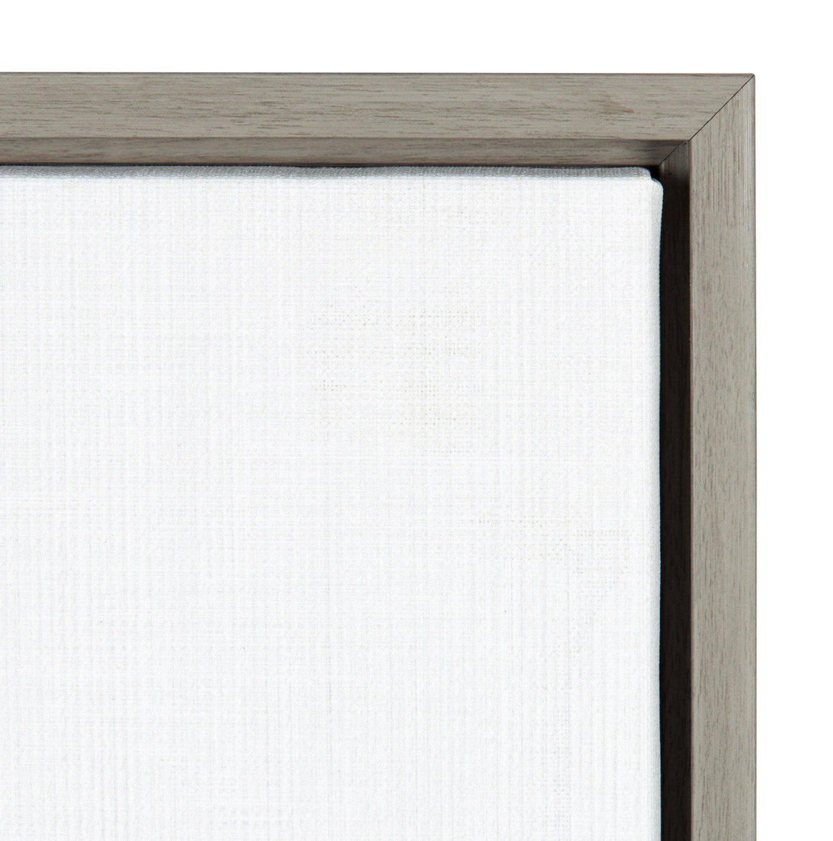 Sylvie Llama Framed Canvas by Simon Te Tai