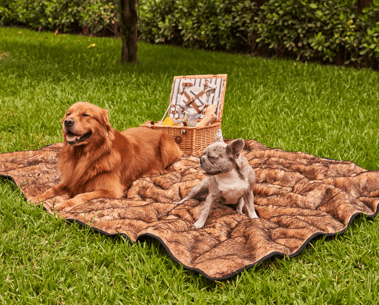 PupProtector™ Summer Short Fur Waterproof Throw Blanket - Sable Tan