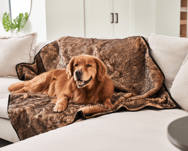 PupProtector™ Summer Short Fur Waterproof Throw Blanket - Sable Tan
