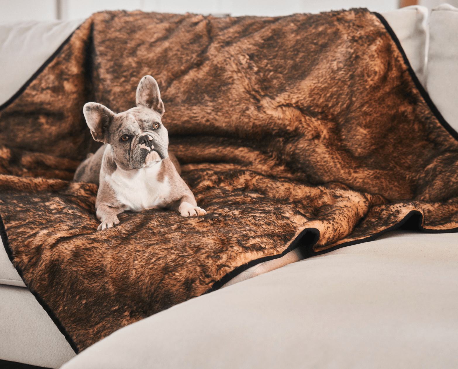 PupProtector™ Summer Short Fur Waterproof Throw Blanket - Sable Tan