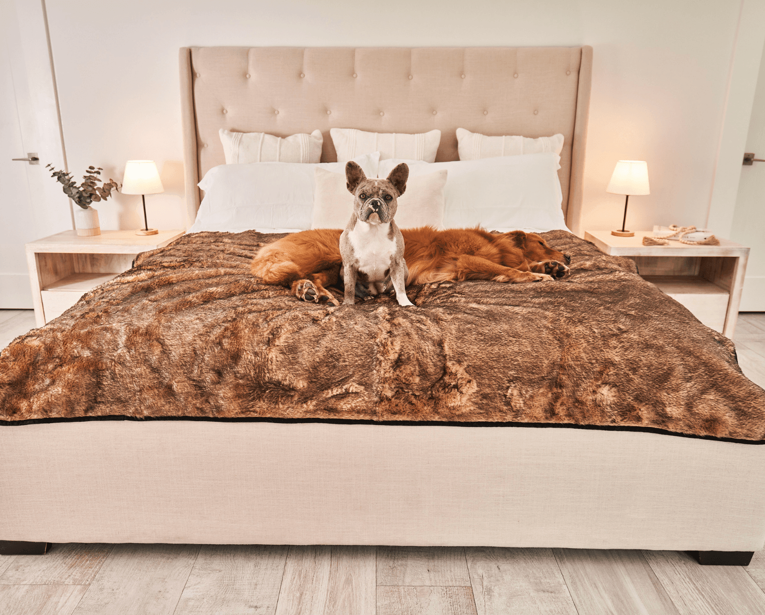 PupProtector™ Summer Short Fur Waterproof Throw Blanket - Sable Tan