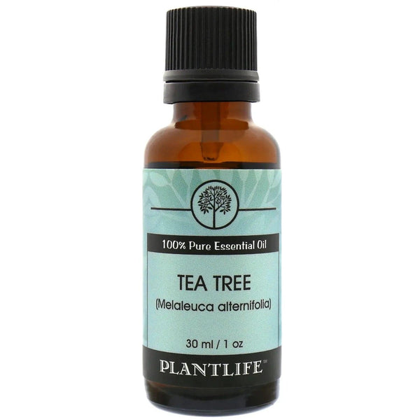 Tea Tree Essential Oil - Gifts for You 'n Me