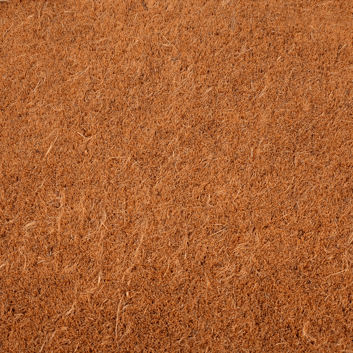 Terracotta Border Coir Doormat