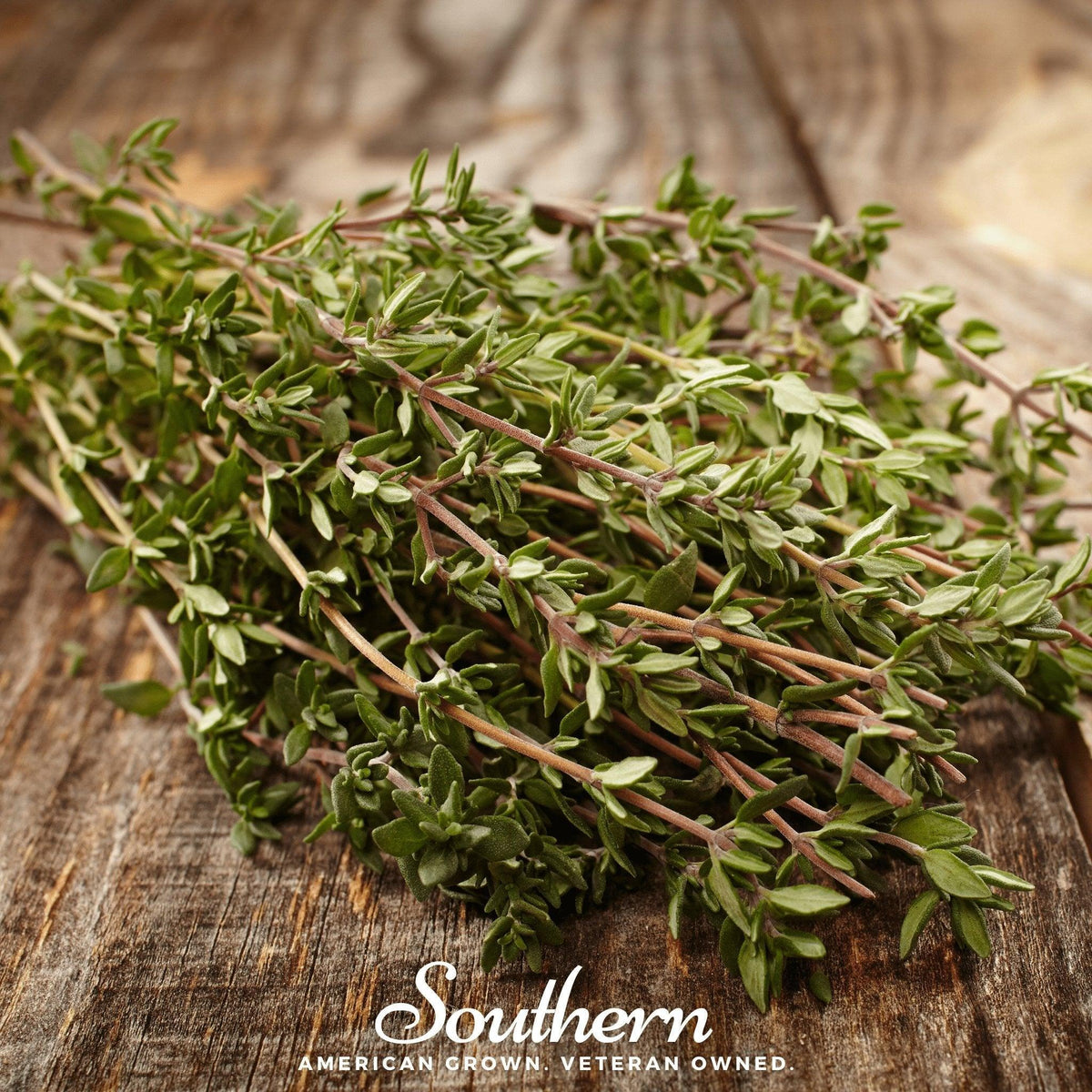 Common Thyme – 250 Seeds