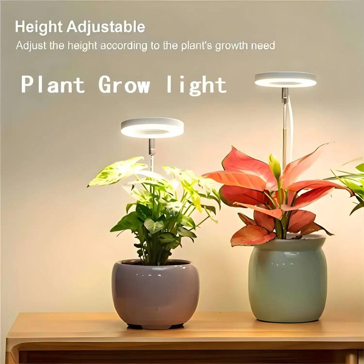 Timing Dimming Plant Grow Light for Succulent Bonsai Plants