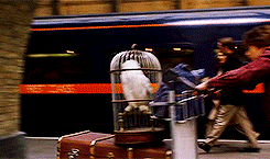 Platform 9 3/4