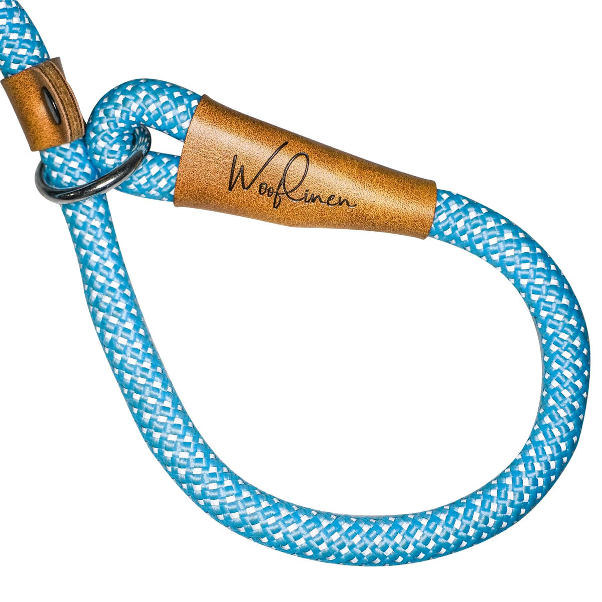 Ultra Reflective 6' Dog Slip Leash