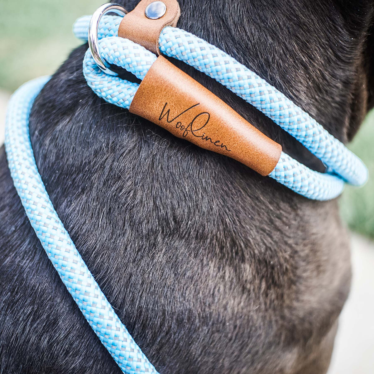 Ultra Reflective 6' Dog Slip Leash