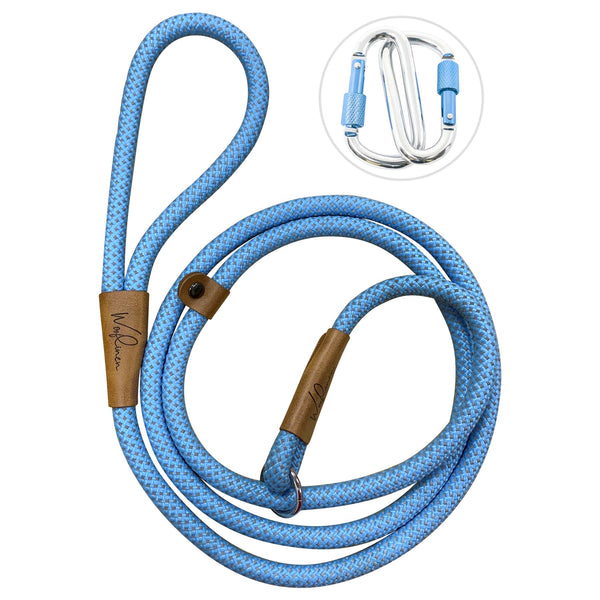 Ultra Reflective 6' Dog Slip Leash