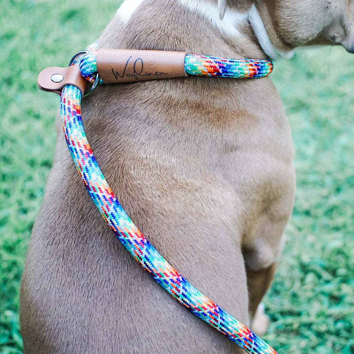 Ultra Reflective 7' Dog Slip Leash