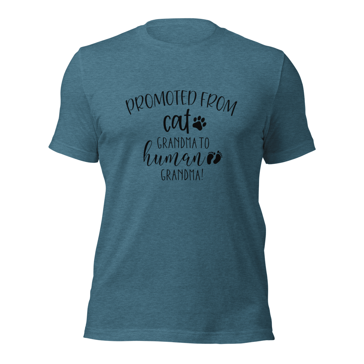 Promoted from Cat Grandma to Human Grandma T-Shirt